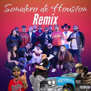 Sonidero de Houston (feat. Salmex, Dank OG, Don Pelón, Danger dts, low g, Chingo Bling & Positive g) (Remix)