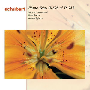 Piano Trio No. 1 in B-Flat Major, D. 898, Op. 99:I. Allegro moderato