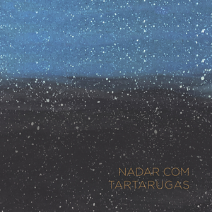 Nadar com tartarugas