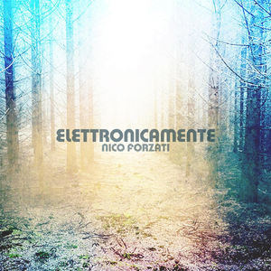 Elettronicamente