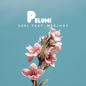 Pelumi