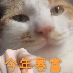 悠悠风舞（纯音乐）
