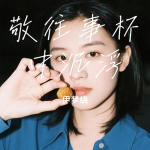 敬往事杯中沉浮