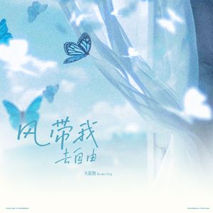 风带我去自由