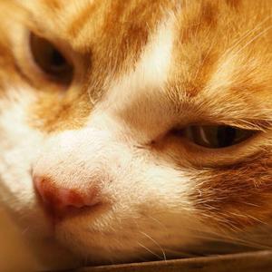 I wish...（翻自 冬馬由美）