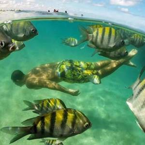 一个人就好( Electro Mix国语女)