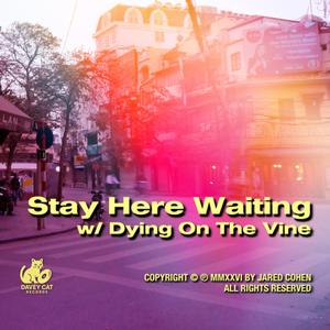 Stay Here Waiting
