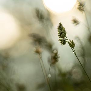 东京不太热 (cover: 封茗囧菌)