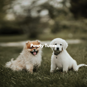 Friendly (Lonely Dog)