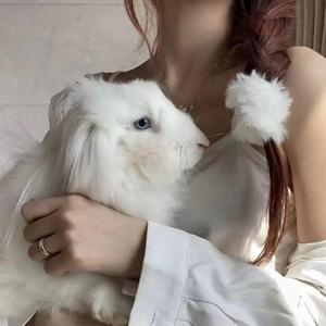 莫甘娜的救赎