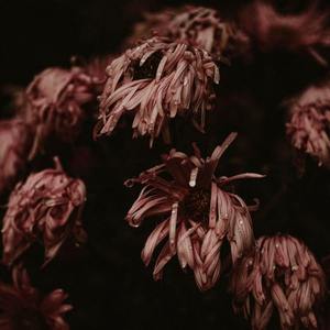 Duet (guitar,cover)（翻自 Rachael Yamagata）