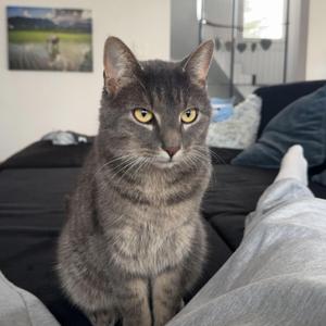 Schoko & Keks (Christmas rmx)