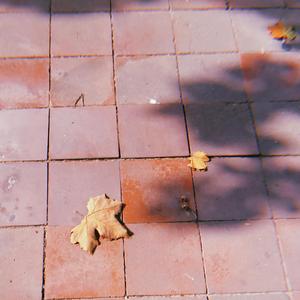 心酸（翻自 林宥嘉）