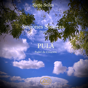 Un Bosque Encantado de Posibilidades