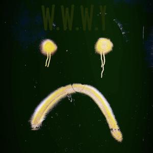 W.W.W.Y