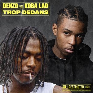 Trop dedans (feat. Koba LaD)