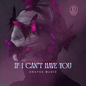 If I Can't Have You