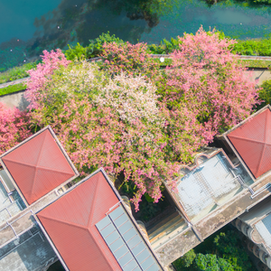 公主(prod by FRESH_ye)