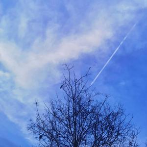 让我们一直在一起