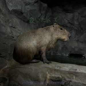 会いたくて (보고싶어서) (Inst.)