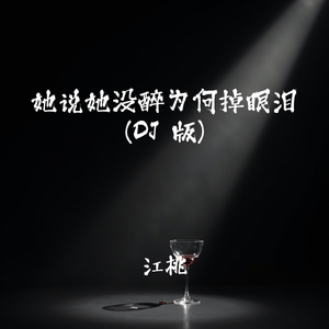 她说她没醉为何掉眼泪(DJ版)
