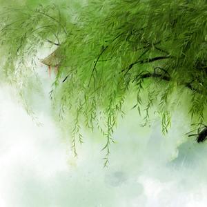 梦江南（笛子演奏）（翻自 童丽）