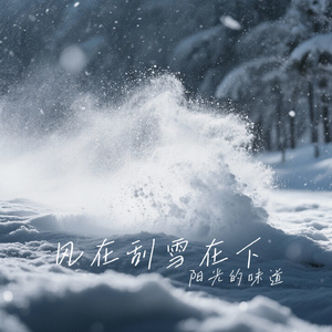 风在刮雪在下