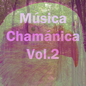 Música Chamánica, Vol. 2