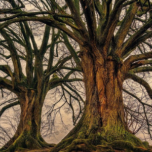 OLD SHOOL INSTRUMENTAL HIPHOP