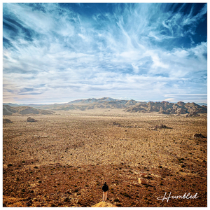 Show Me the Way Home (Acoustic)