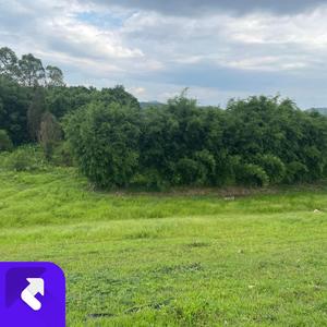 过往云烟的女同学