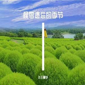 我离开那年