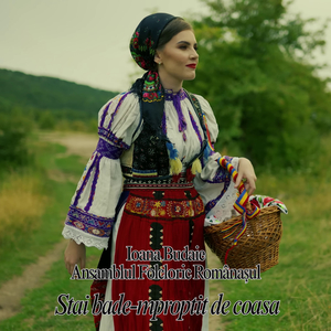 Stai bade-mproptit de coasa