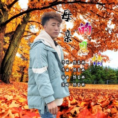 母亲的恩情DJ