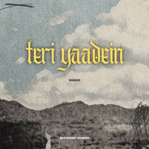 TERI YAADEIN