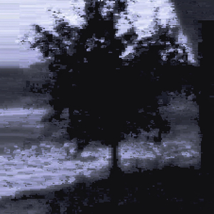 Party in the USA (Hoodtrap)