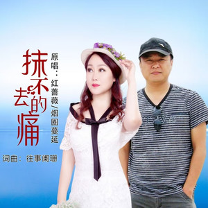 抹不去的痛 (吉特巴舞曲版)