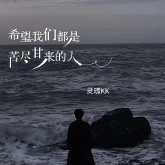 希望我们都是苦尽甘来的人 (DJ豪大大版)