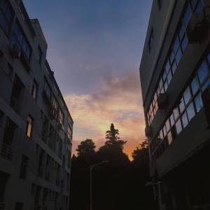 纯音乐