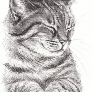 I Don't Wanna Waste My Time (slowed)