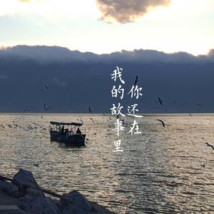 你还在我的故事里