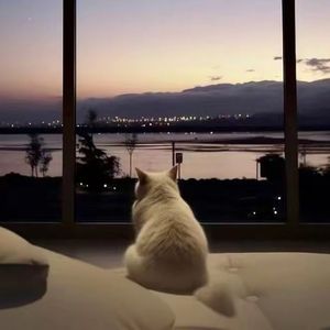 柴可夫斯基小品集Tchaikovsky MeditationOp.72,No.5