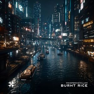 Burnt Rice (speed up)