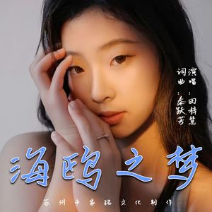 海鸥之梦