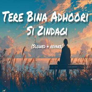 TERE BINA ADHURI SI ZINDAGI