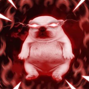 PIBBLE WASH MY BELLY FUNK