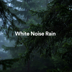 Fall Asleep with Natural Rain