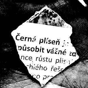 Černá plíseň (feat. el prdel)