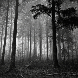 stifled