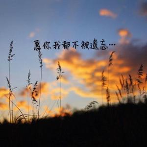 杂草【吉他版】